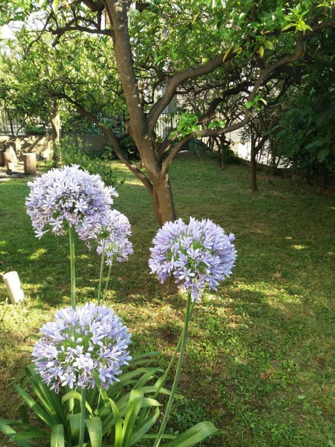 Vila Skala Herceg Novi Zewnętrze zdjęcie